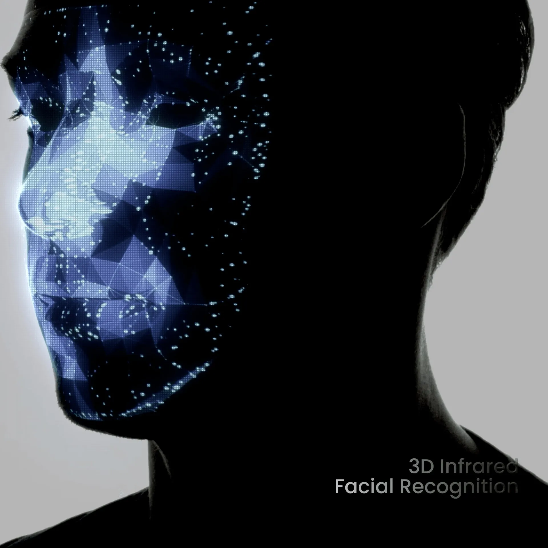 Lockly Visage
